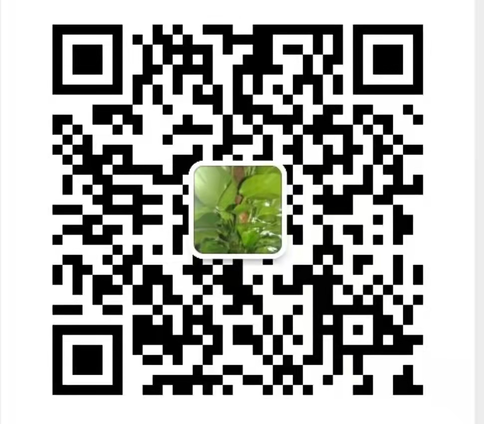 955488341972586754 图片1.png